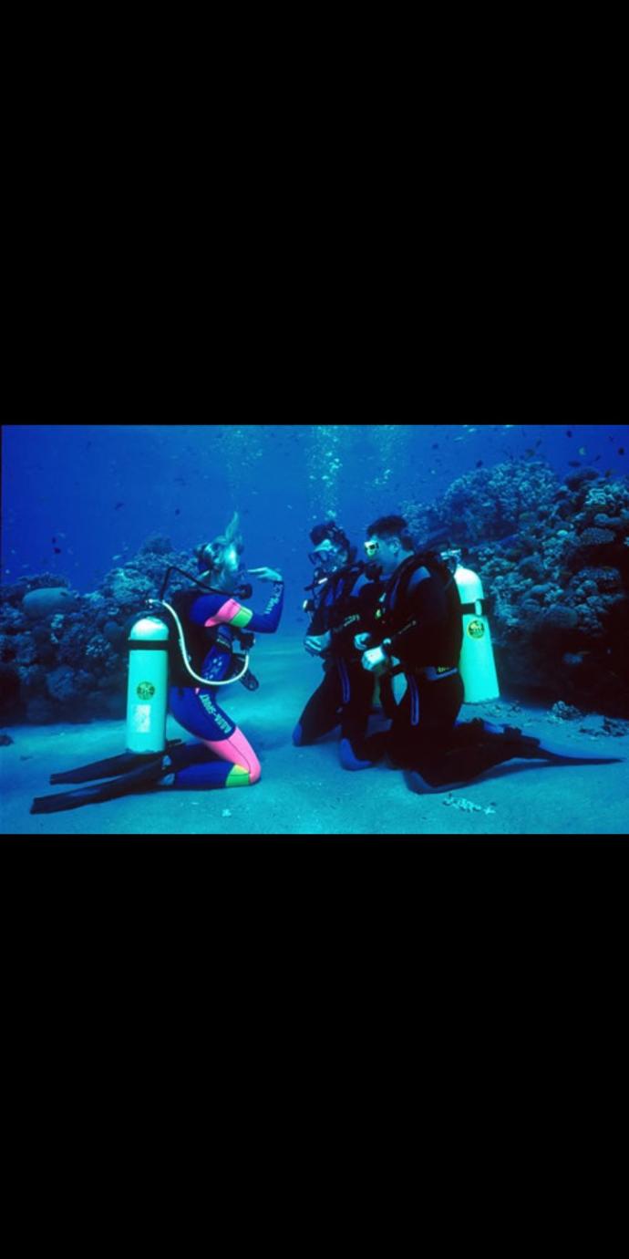 Tüplü dalış (scuba diving) yapan var mı?