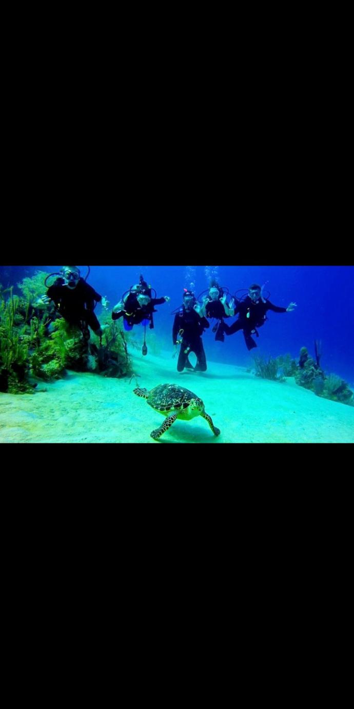 Tüplü dalış (scuba diving) yapan var mı?