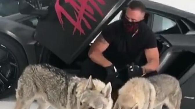 Diablo mu Massaka mı?