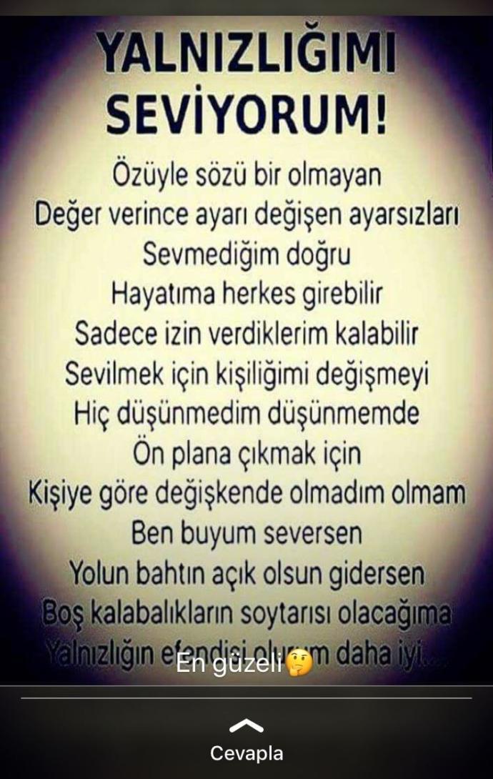 Yalnızlığı severmisiniz?