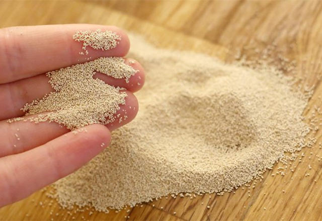 son kullanma tarihi geçmiş kuru maya kullanılır mı?