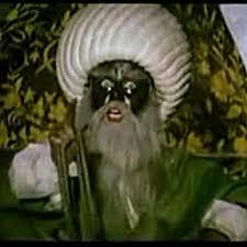 Var mı haci bumbalaya sorular?