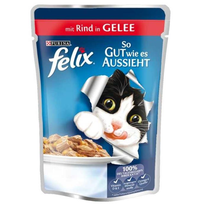 yeni doğum yapan kedi nasıl beslenir