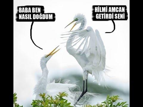 Siz küçükken nasıl bebek olur sanıyordunuz?