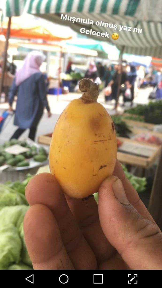 Bu meyvenin adını nedir daha önce hiç yedin mi tadı nasıl?