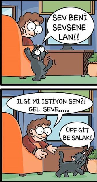 Sevgilim beni kedi gibi seviyor kedi gibi davranıyor ne yapmalıyım?