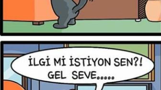 Sevgilim beni kedi gibi seviyor kedi gibi davranıyor ne yapmalıyım?