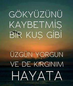 Kırgınım hayata, küsüm insanlara. Yok mu benim gibi bir kişi daha?