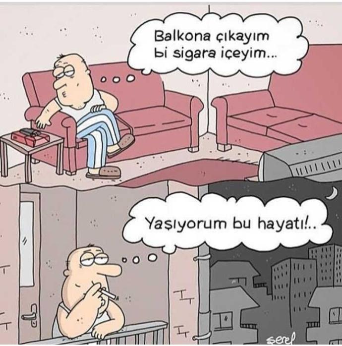 😂😂😂😂😂😂
