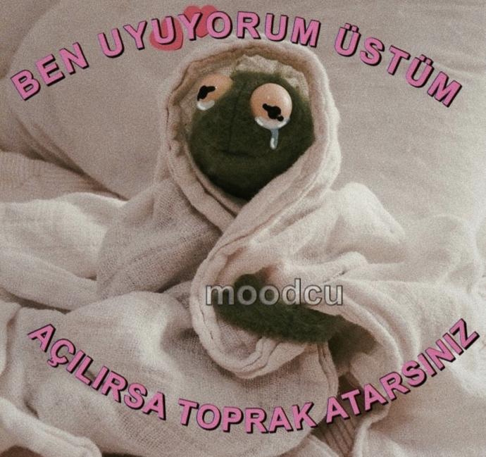 Anlık moodlarınızı paylaşır mısınız?