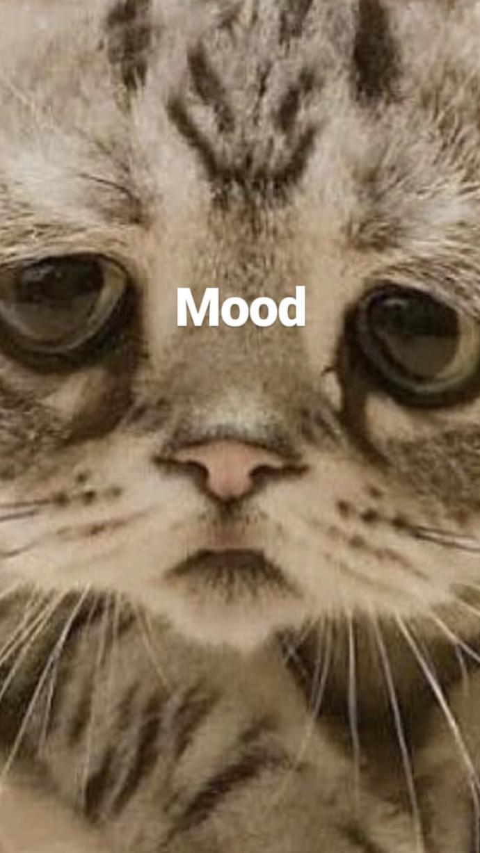 Anlık moodlarınızı paylaşır mısınız?