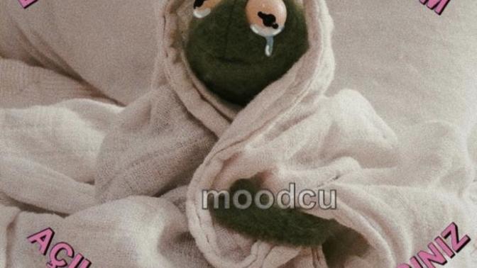 Anlık moodlarınızı paylaşır mısınız?