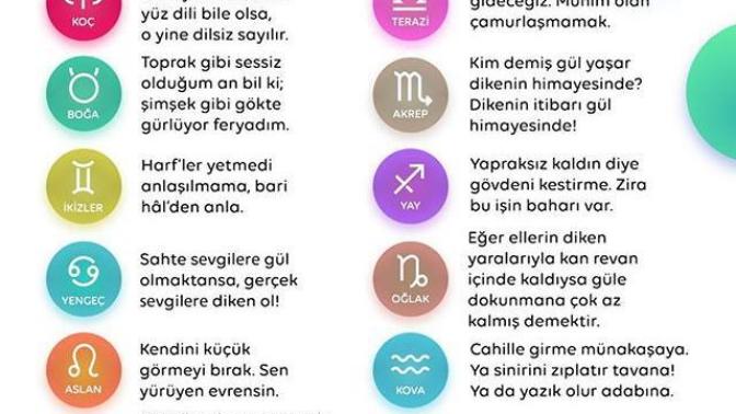 Burcuna göre hangi Mevlana sözü seni anlatıyor?