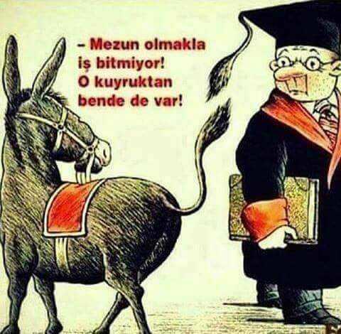 Diploma kişiyi eğitir mi?