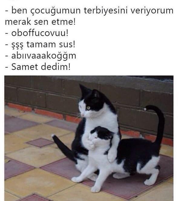 En sevdiğiniz karikatürler?