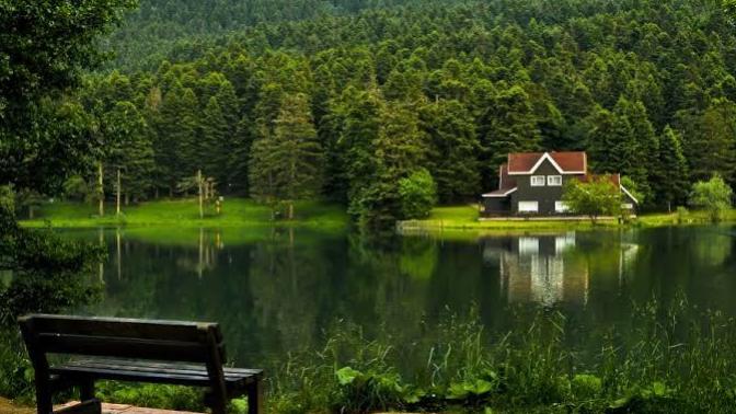 Size en çok huzur veren ses hangisidir?