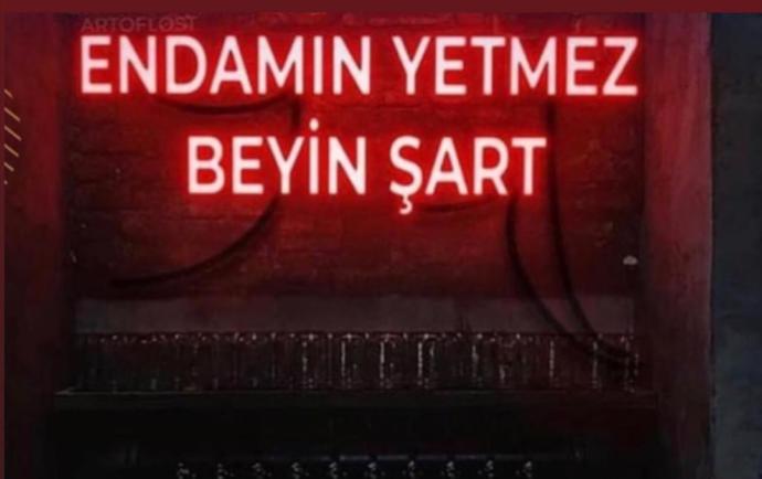 Size zeka mı yoksa güzellik/yakışıklılık mı "ben düştüm" dedirtiyor?