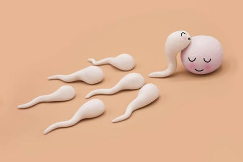 Sperm kadınlar için iğrenç midir yoksa zevkli bir şey midir?