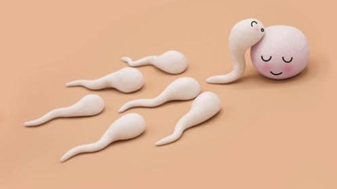 Sperm kadınlar için iğrenç midir yoksa zevkli bir şey midir?