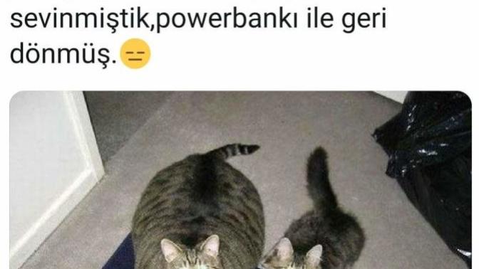 Güne nasıl başladınız?