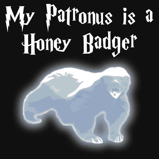 Harry Potter'ın büyülü dünyasında yaşıyor olsaydınız sizin Patronus hayvanınız ne olurdu?