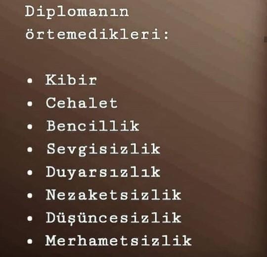 Diplomanın örtemedikleri neler?