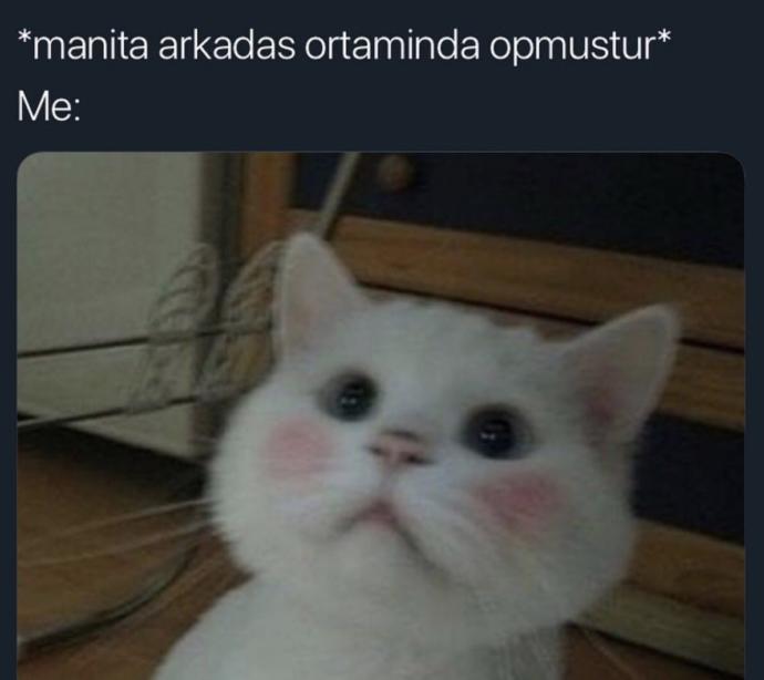 Sevgilinizi arkadaşlarınızın yanında yanaktan öper misiniz?