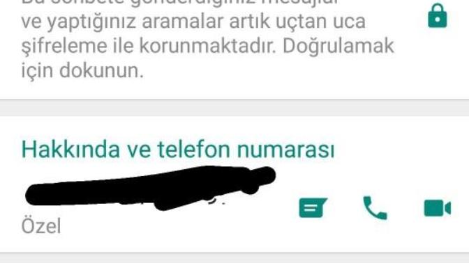 Whatsapta numaranın altında neden özel yazar?