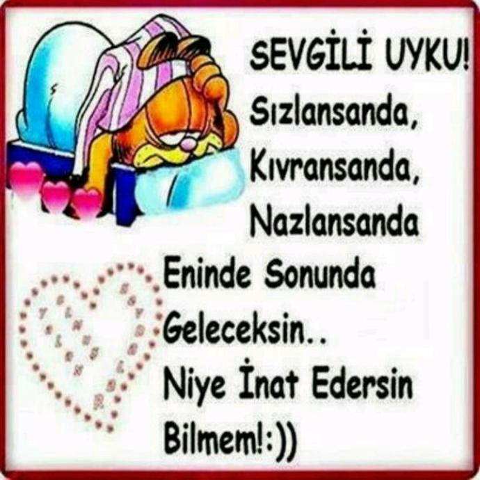 Uyku neydi bilen varsa açıklama yapsın?