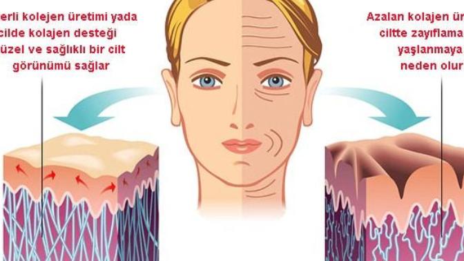 En İyi Kolajen Hapı, Markası Hangisi?