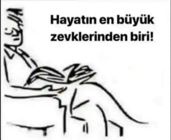Resim de ne görüyorsunuz?