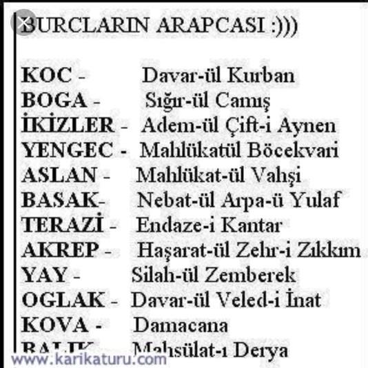 Burcunuzun arapçası neymiş?