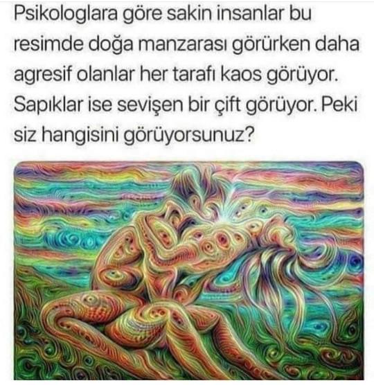Siz ne görüyosunuz?😅?