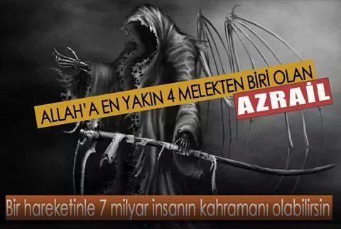 Recep Tayyip Erdoğan ile ilgili ne düşünüyorsunuz?