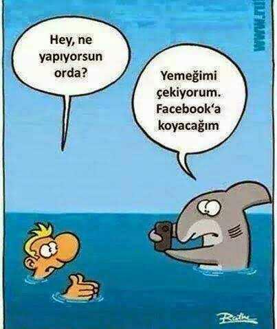Sosyal medyada görgüsüzlüğün dibine vuranlar hakkında ne düşünüyorsunuz?