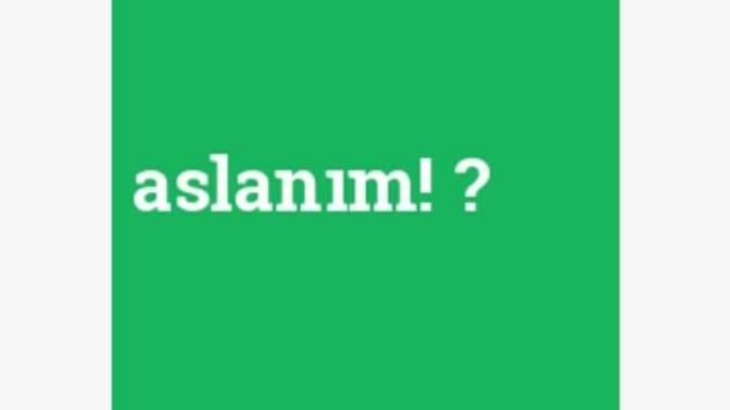 Sevgiliye ve ya eşe Aslanım demek itici midir? Yoksa çekici midir?😜😜😜?