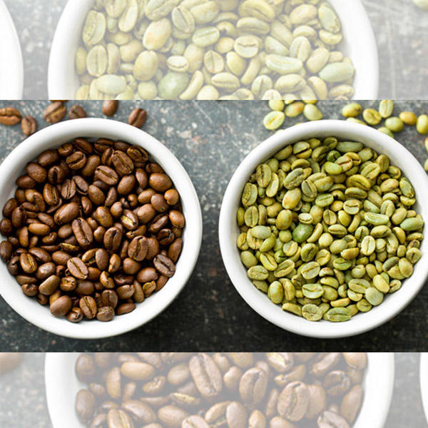Coffetox Nedir? Yeşil Kahve Kullananlar ve Zayıflayanlar KizlarSoruyor