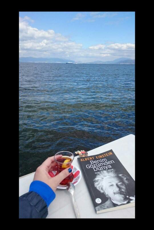 Duygu ASENA;