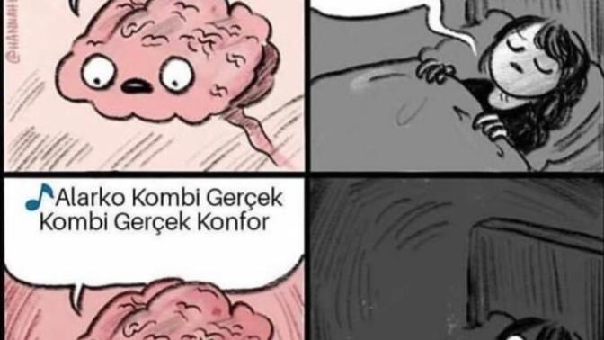 Uyuyamama sorunsalı?