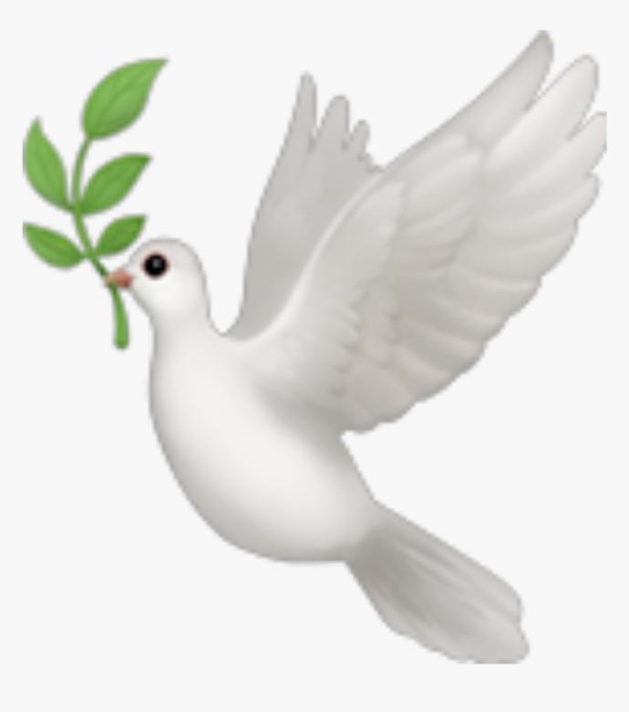 Klavyede uçan martı sembolü, kuş emojisi nasıl yapılır?