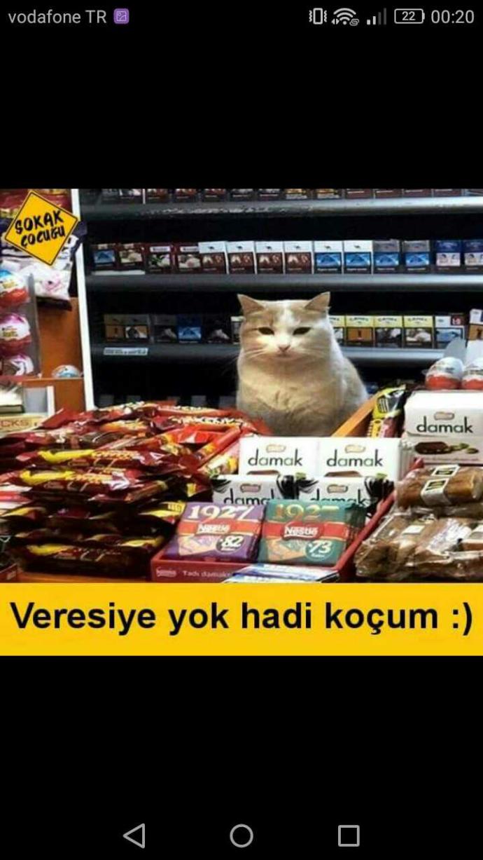 Komik caps atar mısın? 😌?
