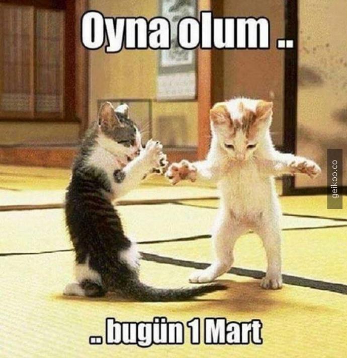 Komik caps atar mısın? 😌?