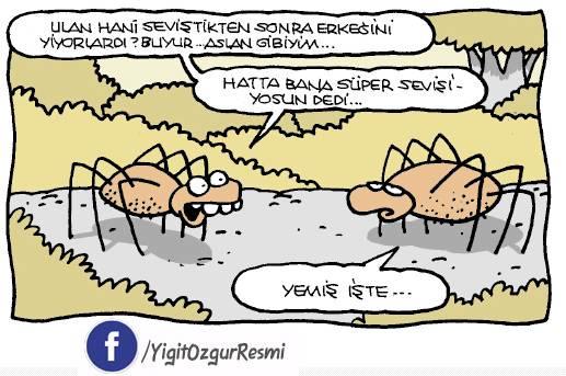 Komik caps atar mısın? 😌?