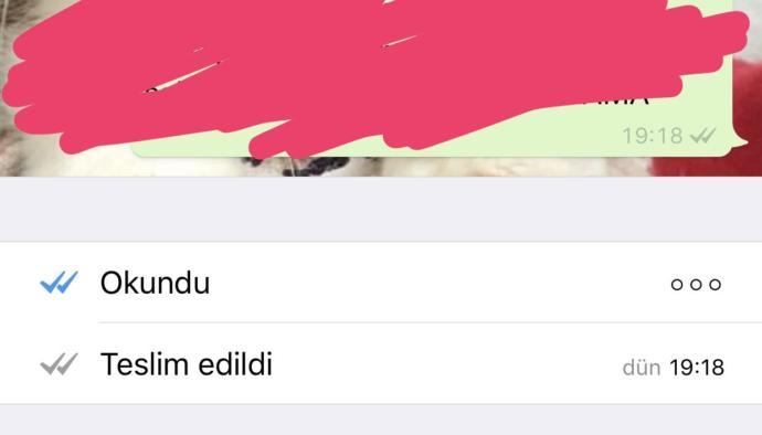 Çift tık olmadıysa okumamış mıdır?