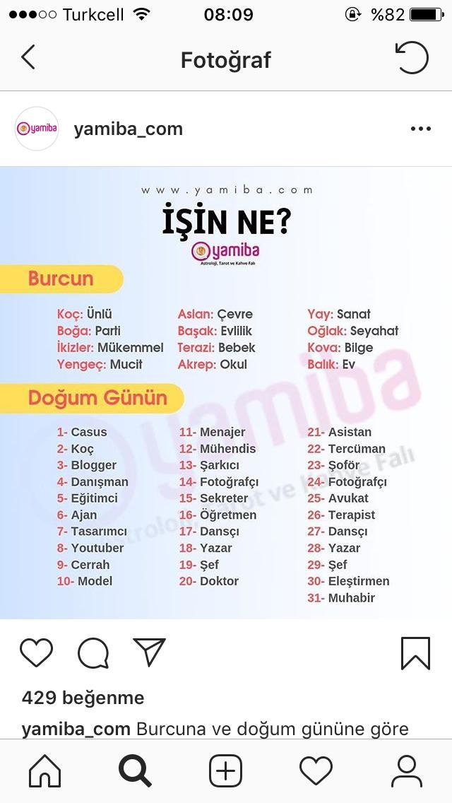 Burcunun işi nedir :)?