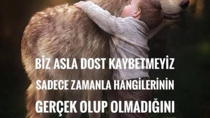 Kim dost kim düşman ilk anda anlarmısınız?