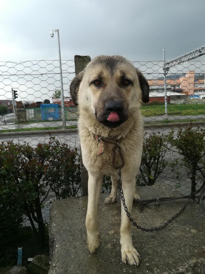 “Beni bir salın artık.” demek istediğiniz biri var mı?
