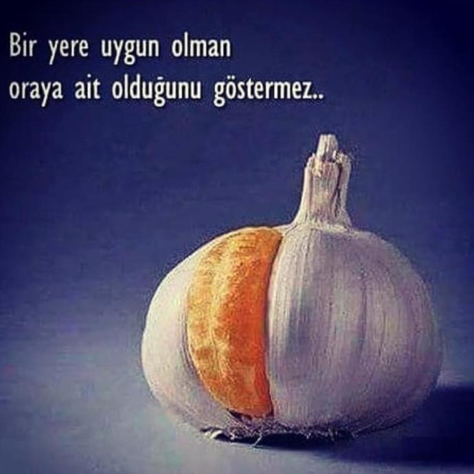 Kendinizi bir yere ait hissediyor musunuz yoksa ben kendimi hiçbir yere ait hissetmiyorum mu diyorsunuz?