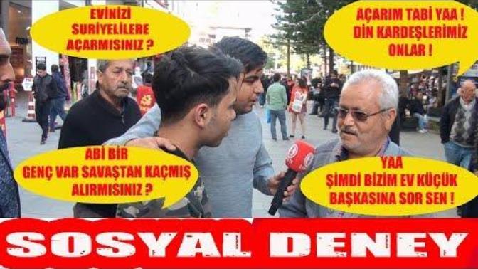 Türk İnsanı Lafa Gelince Sedat Peker İcraat'a Gelince Pamuk Şeker mi?
