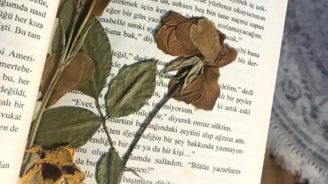 Hiç kitap arasında çiçek kuruttunuz mu?
